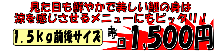 ���쌧���v�Y�@���Y��