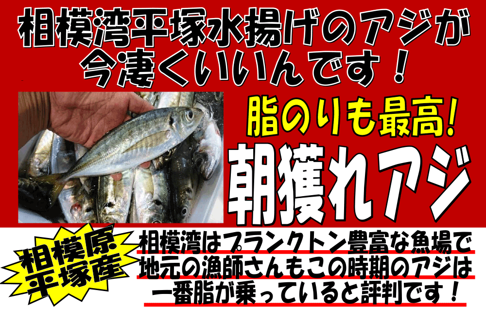 ���͘p���ː��g���@���l��A�W