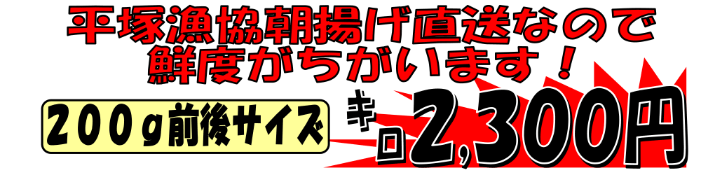 ���͘p���ː��g���@���l��A�W