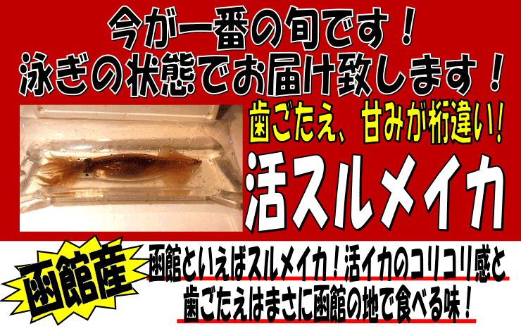 ���َY�@���X�����C�J