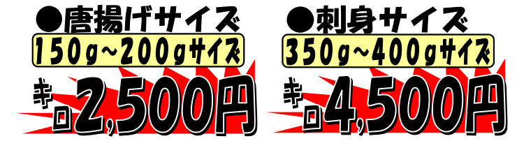 ���Q���F�a���Y�@���I�R�[