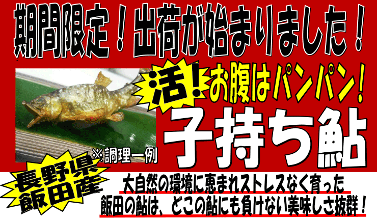 ���쌧�ѓc�Y�@���q������