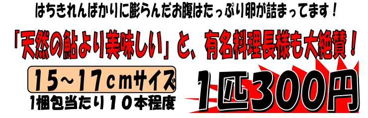 ���쌧�ѓc�Y�@���q������