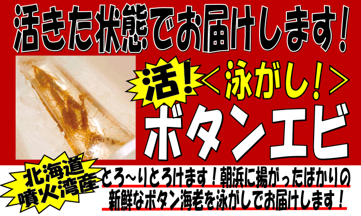 �k�C�����Θp�Y�@���{�^���G�r