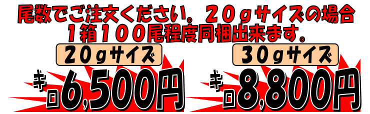 �k�C�����Θp�Y�@���{�^���G�r