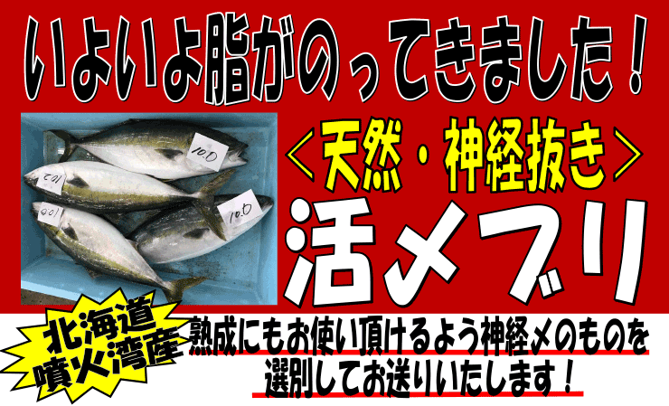 �k�C�����Θp�Y�@�V�R�E���Y�u��