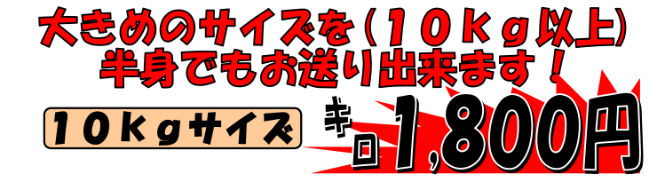 �k�C�����Θp�Y�@�V�R�E���Y�u��