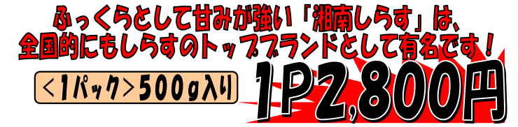 �Ó썲���Y�@���E�H�V���X