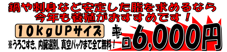 ���Q���F�a���Y�@�{�B�N�G