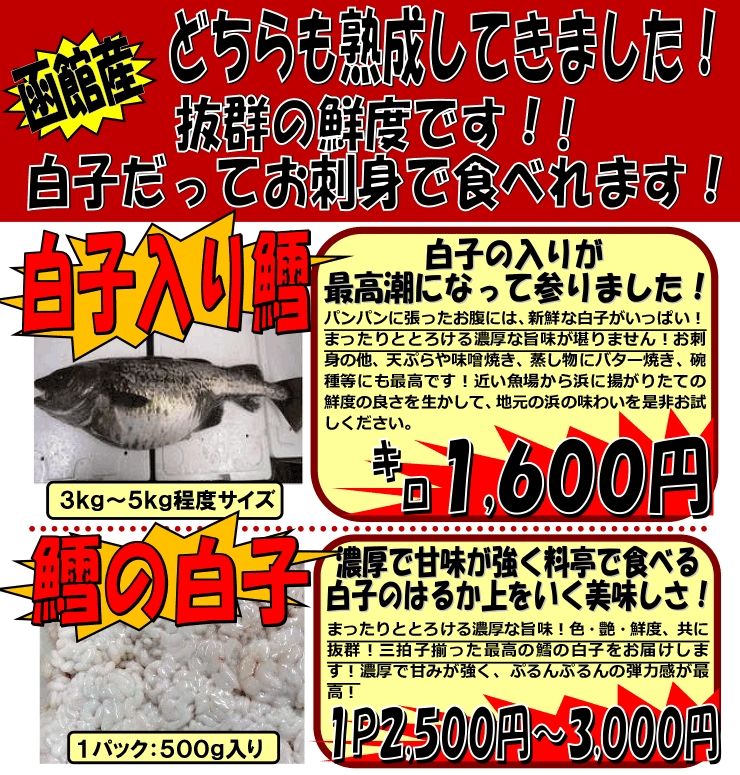 �k�C�����َY�@���q����L���^�L���q