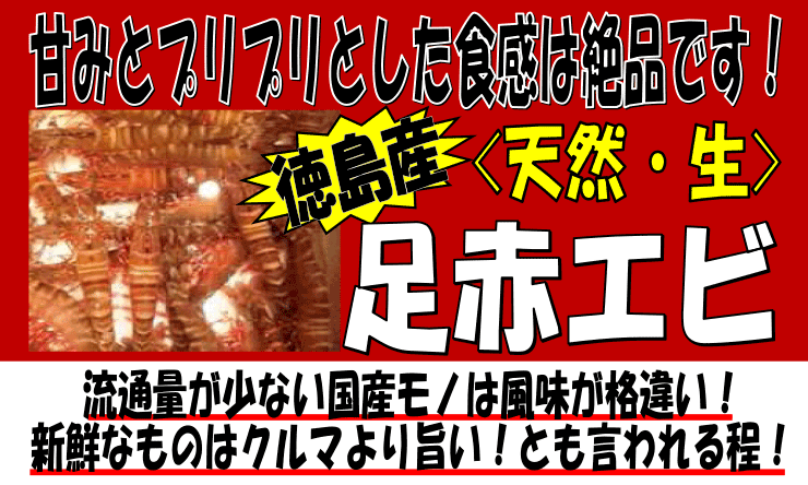 �������Y�@���Ԃ���