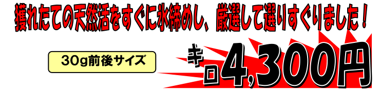 �������Y�@���Ԃ���