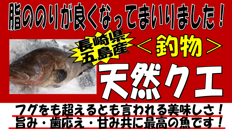 ���茧�ܓ��Y�@�V�R�N�G