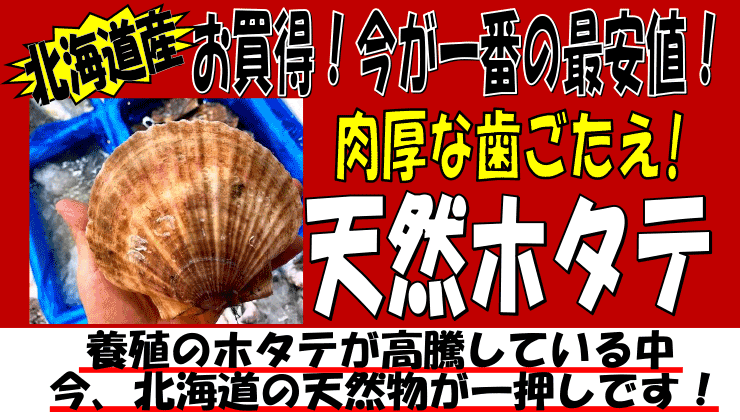 �k�C���Y�@�V�R�z�^�e