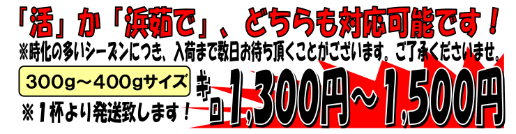 �X�Y�@�g�Q�N���I