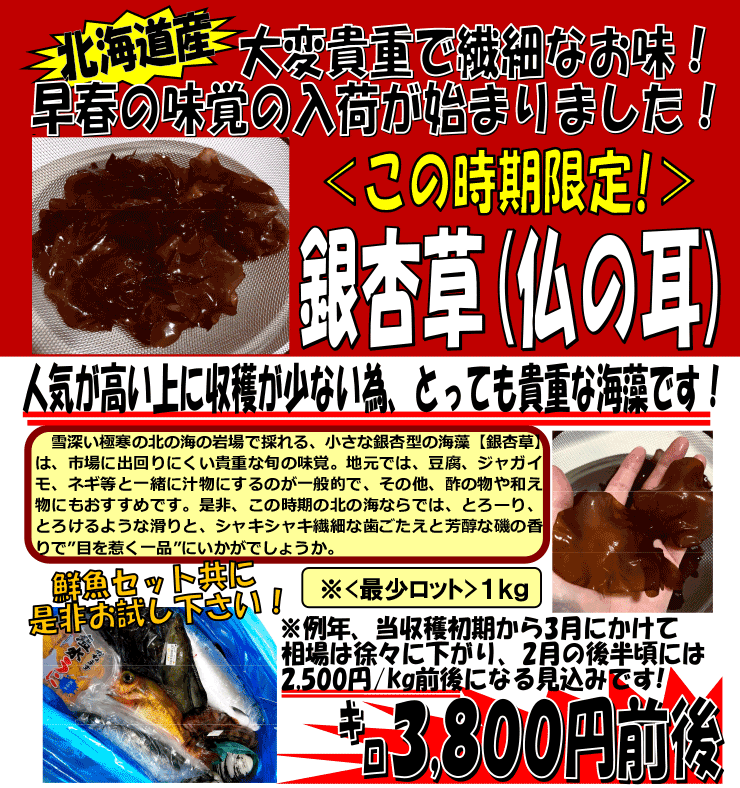 �k�C���Y�@��Ǒ��i���̎��j