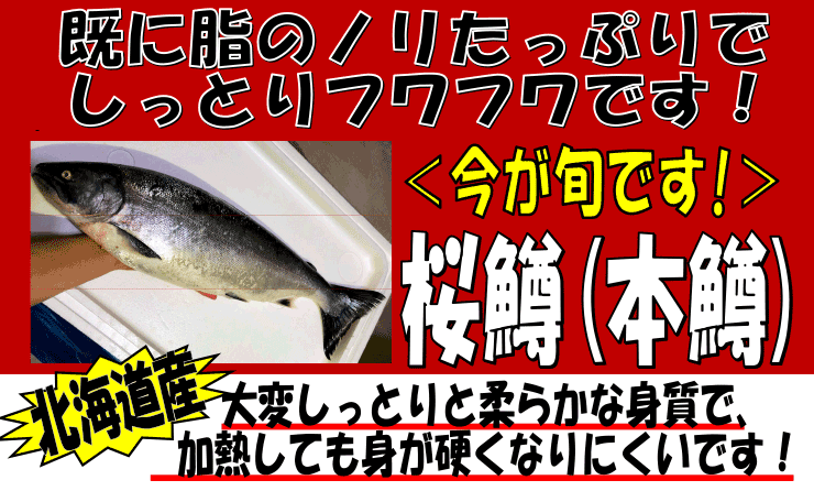 �k�C���Y�@�T�N���}�X�i�{���j