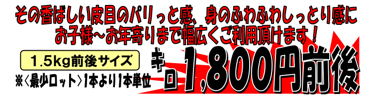 �k�C���Y�@�T�N���}�X�i�{���j