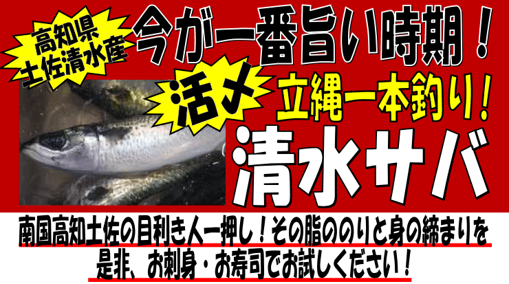 ���m���y�������Y�@���Y�����T�o