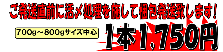 ���m���y�������Y�@���Y�����T�o