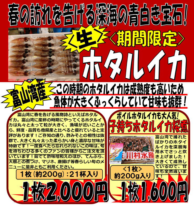 �x�R�p�Y�@���E�z�^���C�J