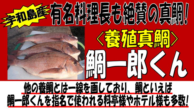 ���Q���F�a���Y�@���Y����