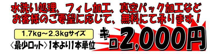 ���Q���F�a���Y�@���Y����