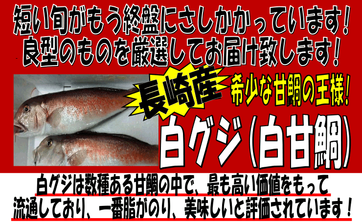 ���茧�Y�@���O�W�i���Ñ�j