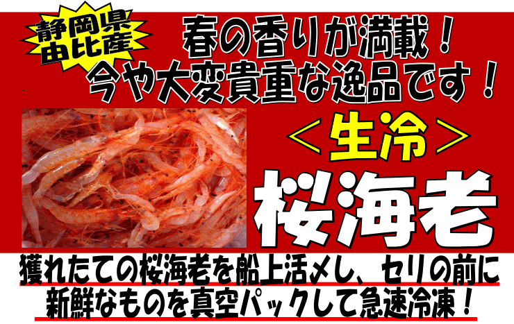 �É����R��Y�@����E���C�V