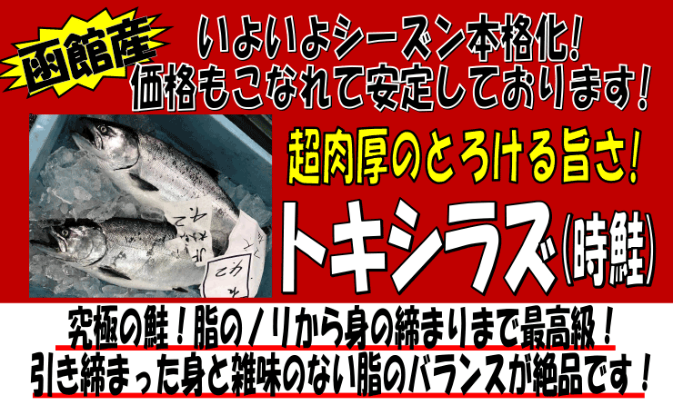 ���َY�@�g�L�V���Y�i�����j