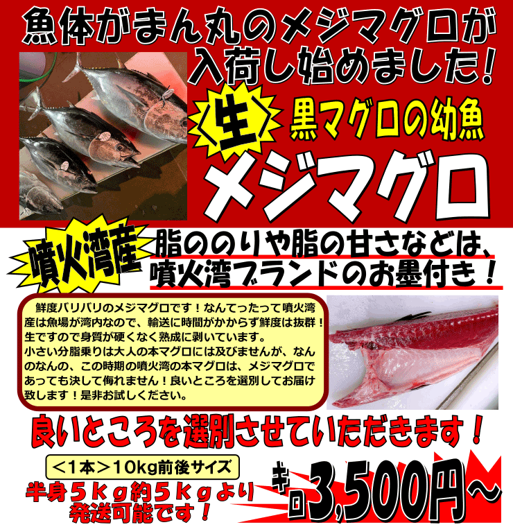 ���Θp�Y�@���W�}�O��