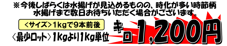 ���َY�@�V�q�j�V��