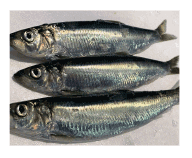 ���َY�@�V�q�j�V��