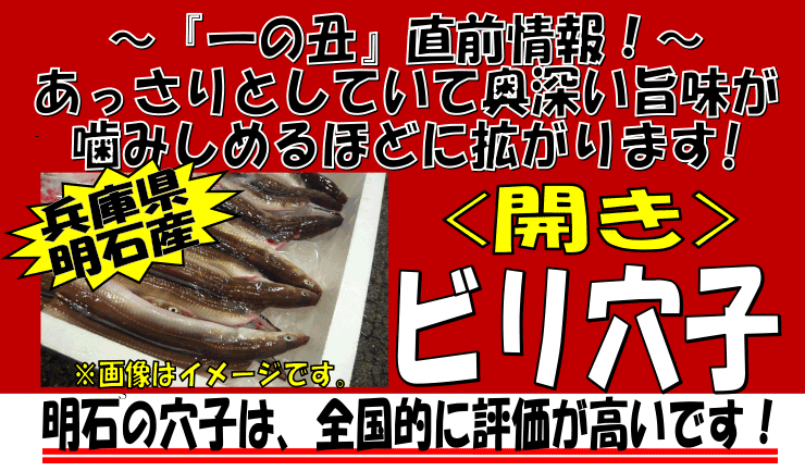 ���Ɍ����ΎY�@�r�����q