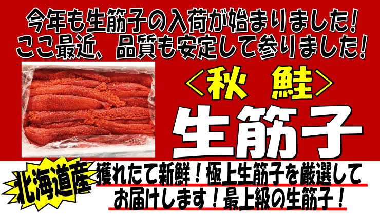 �k�C���Y�@���؎q�i�������j