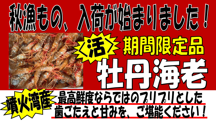 �k�C�����Θp�Y�@���{�^���G�r