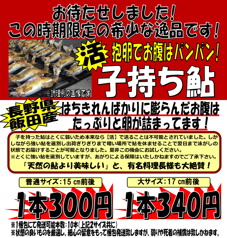 ���쌧�ѓc�Y�@���q������