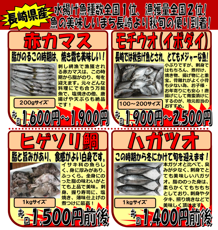 ���茧�Y�@�ԃJ�}�X�����`�E�I���q�Q�\���_�C���n�K�c�I