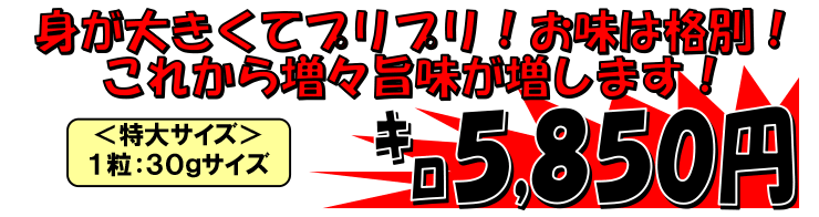 �ԍ�Y�@�������y