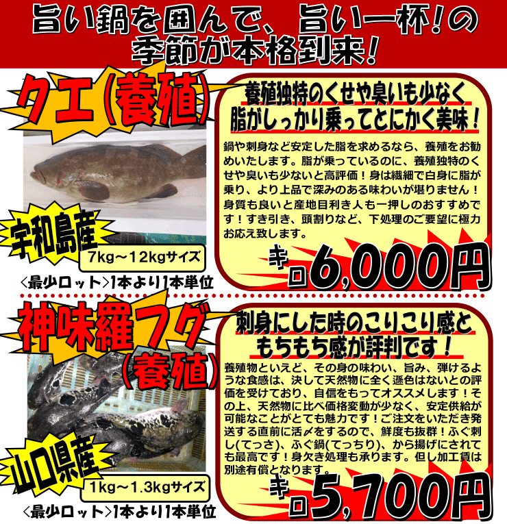 ���Q�Y�{�N�G���R���Y�_�����ӂ�