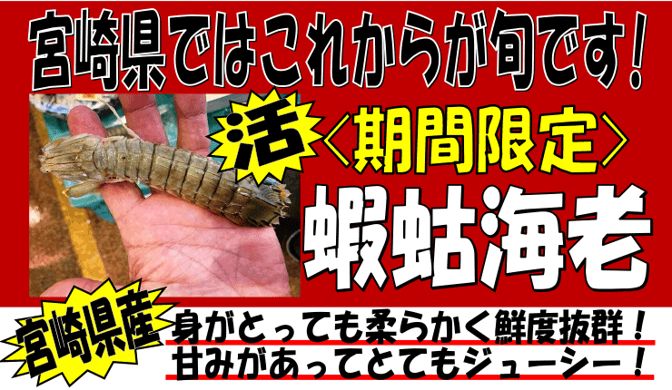 �{�茧�Y�@���V���R�C�V