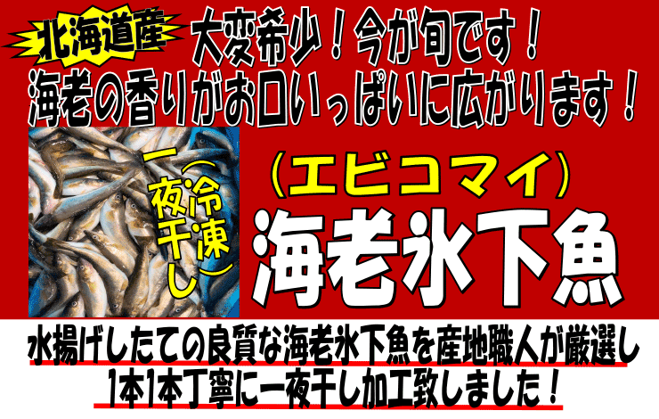 �k�C���Y�@�C�V�X�����i�G�r�R�}�C�j