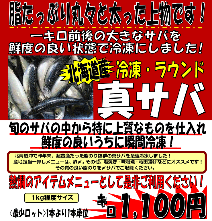 �k�C���Y�@�Ⓚ�^�T�o�i���E���h�j