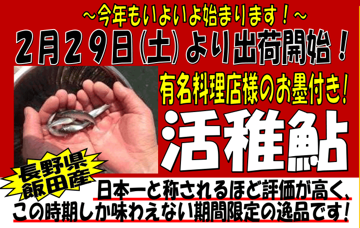 ���쌧�ѓc�Y�@���t�A��