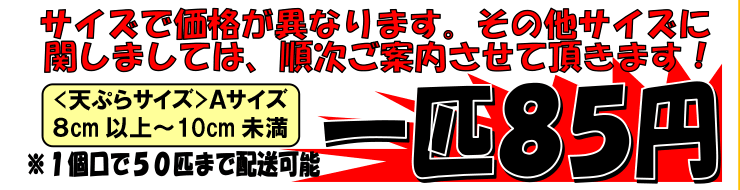 ���쌧�ѓc�Y�@���t�A��