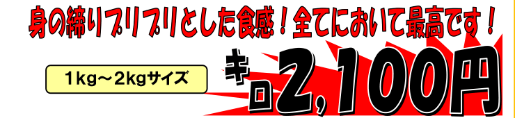 �k�C���Y�@���^�R�i���j