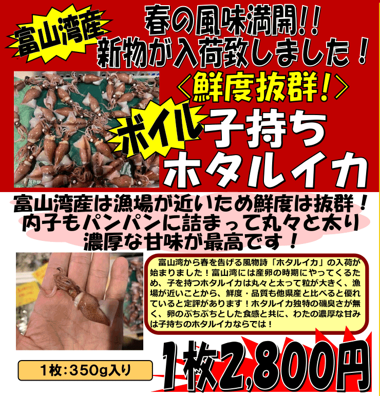 �x�R�p�Y�@�{�C���E�q�����z�^���C�J