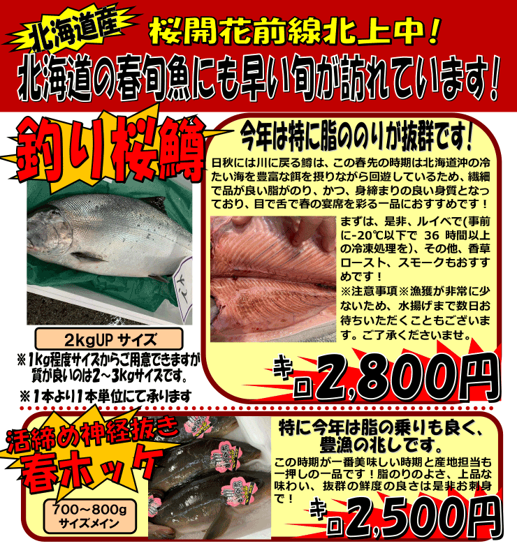 �k�C���Y�@�������t�z�b�P