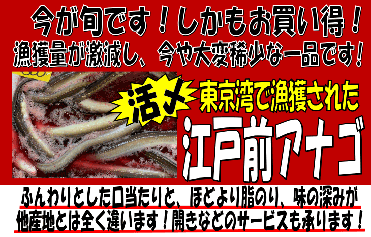 �����p�E�]�ˑO���q