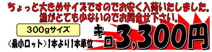 �����p�E�]�ˑO���q